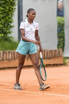 Bild 380 - BL Club an der Alster - GW Luitpoldpark Muenchen : Ergebnis: 6:3